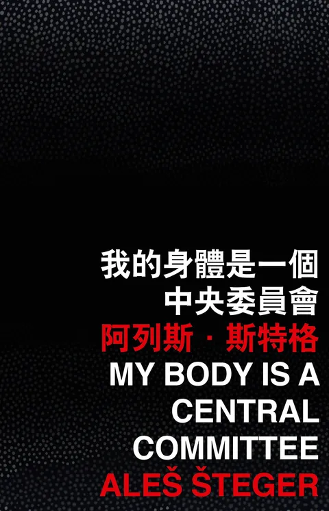 我的身體是一個中央委員會
