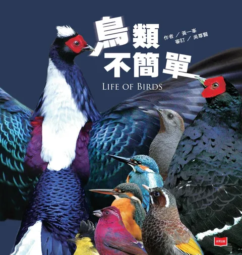 鳥類不簡單(新版)