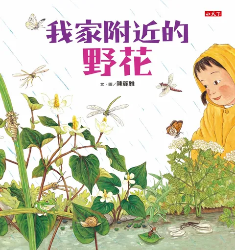我家附近的野花